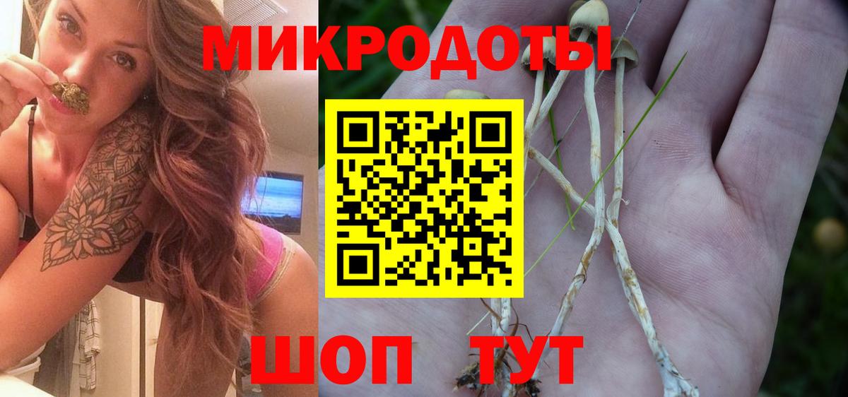 Галлюциногенные грибы ЛСД Усть-Илимск